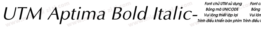 UTM Aptima Bold Italic字体转换